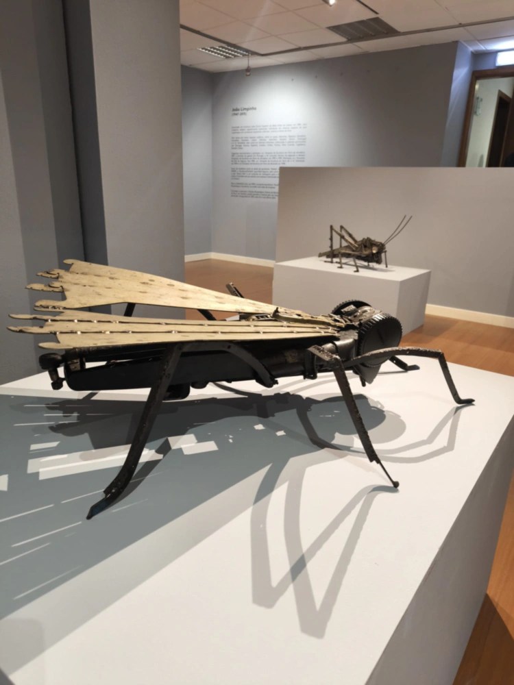 fotografia de Claudia Rocha