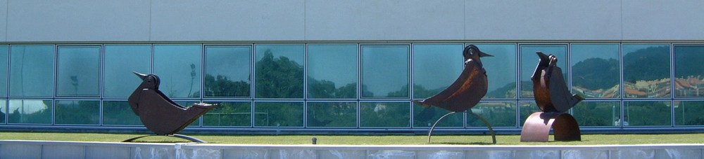 fotografia de Albano Costa